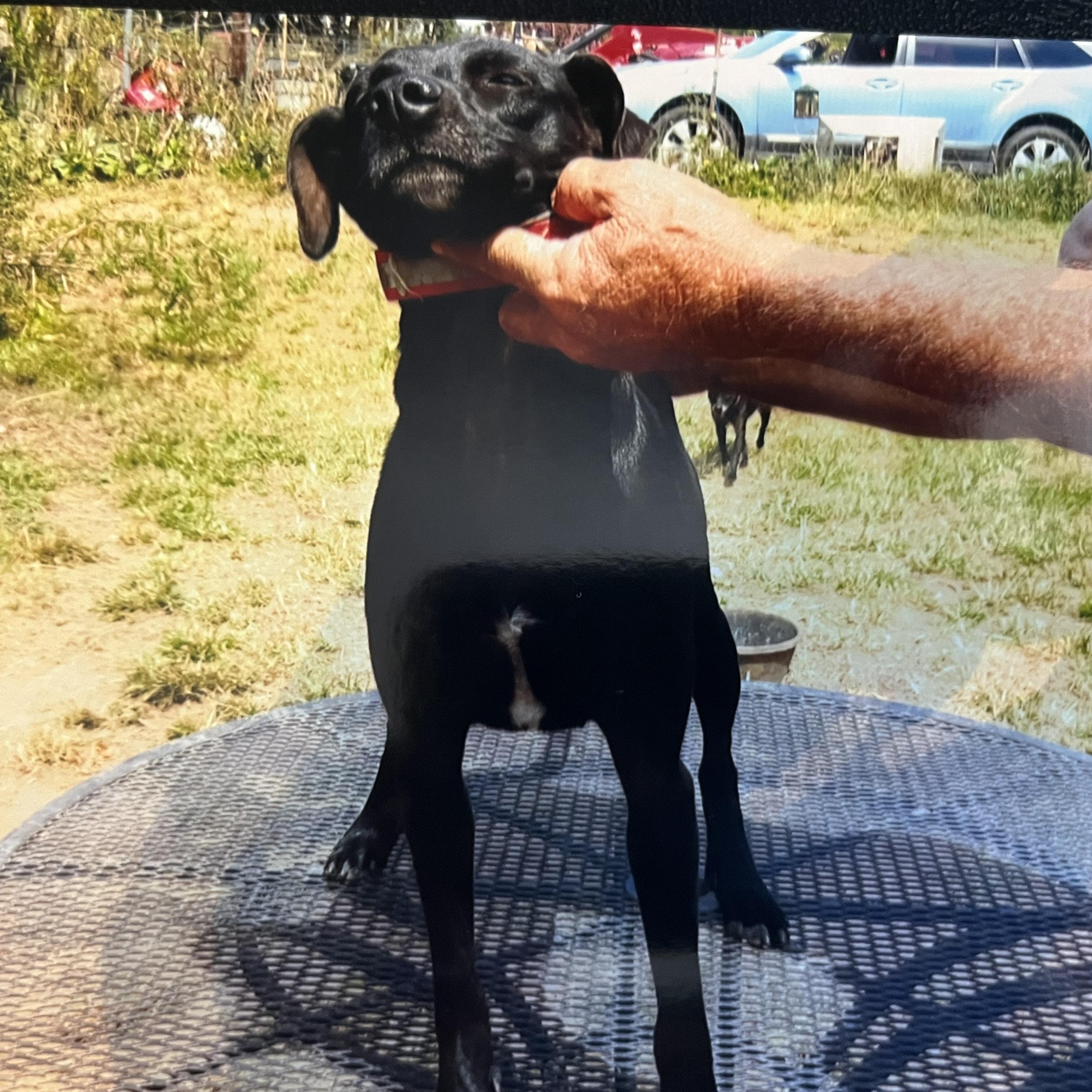 Baby Girl (Community Assist)