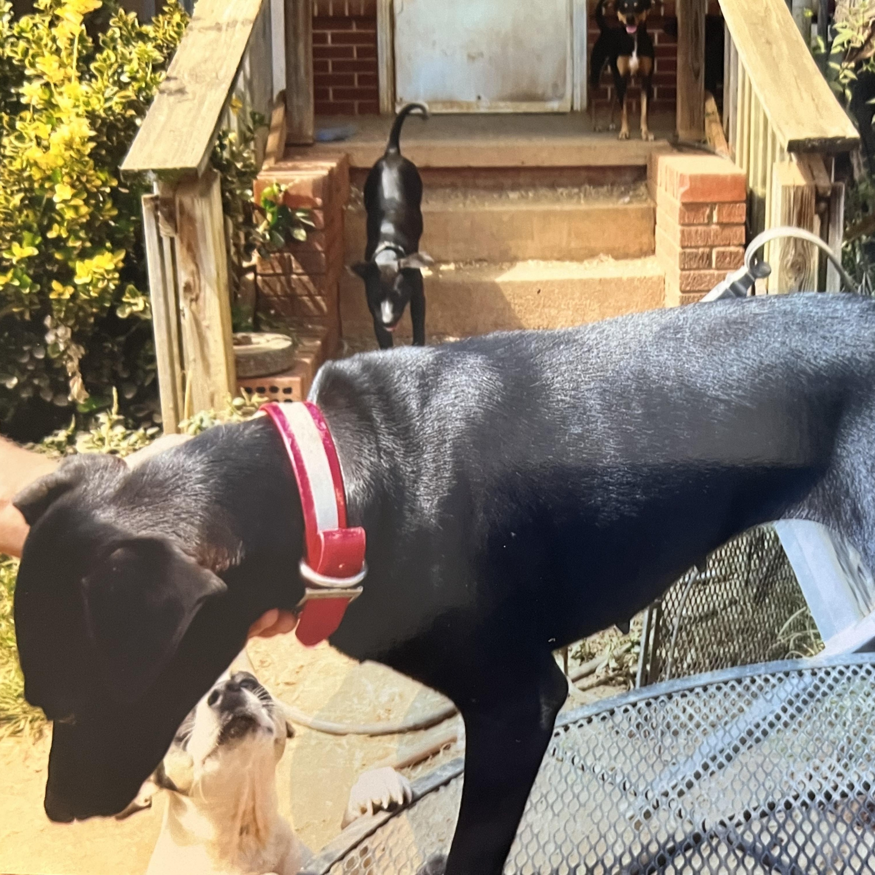 Baby Girl (Community Assist)