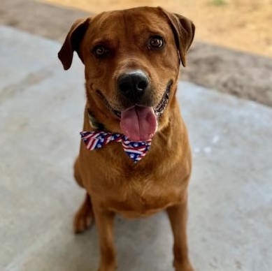 Milo