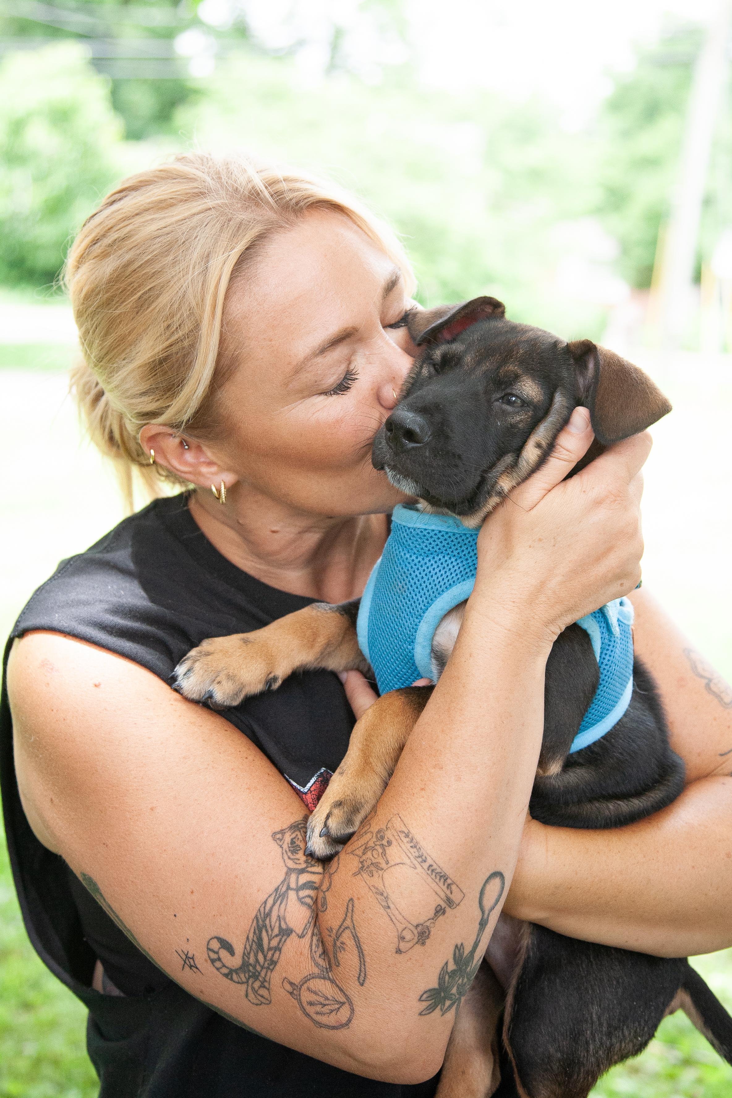 Magellan, a Adoptable Shepherd in Brentwood, TN image 2/3