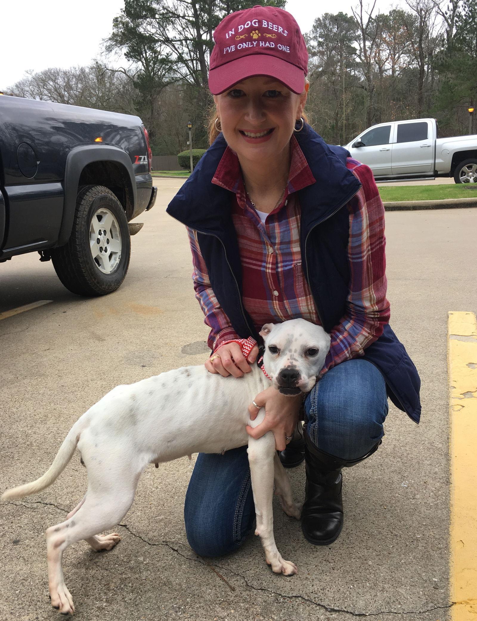 Enlarge Marlee (Forever Foster), a Adoptable mixed breed in Gainesville, TX image 2/3
