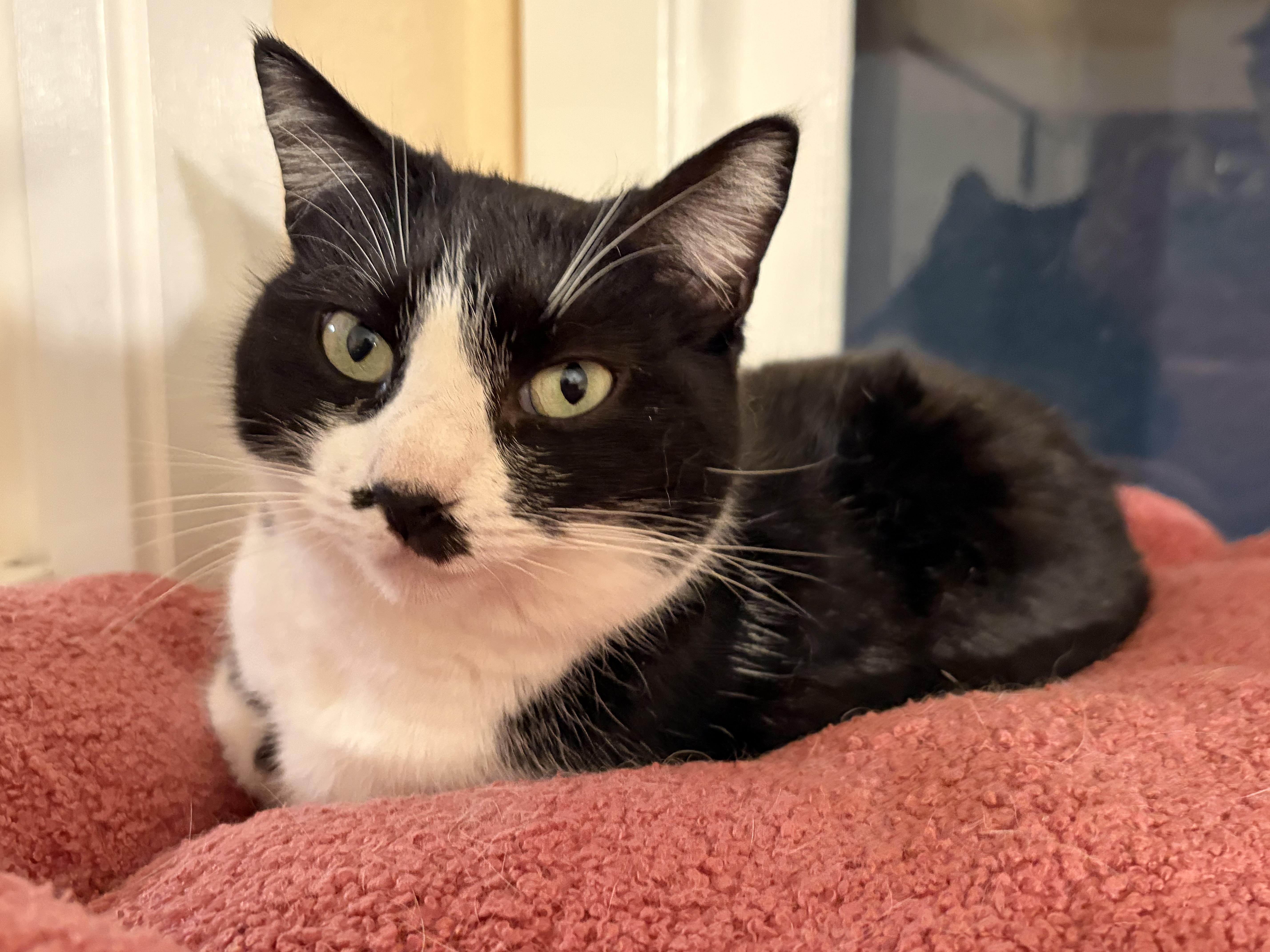 Star — thumbnail 2