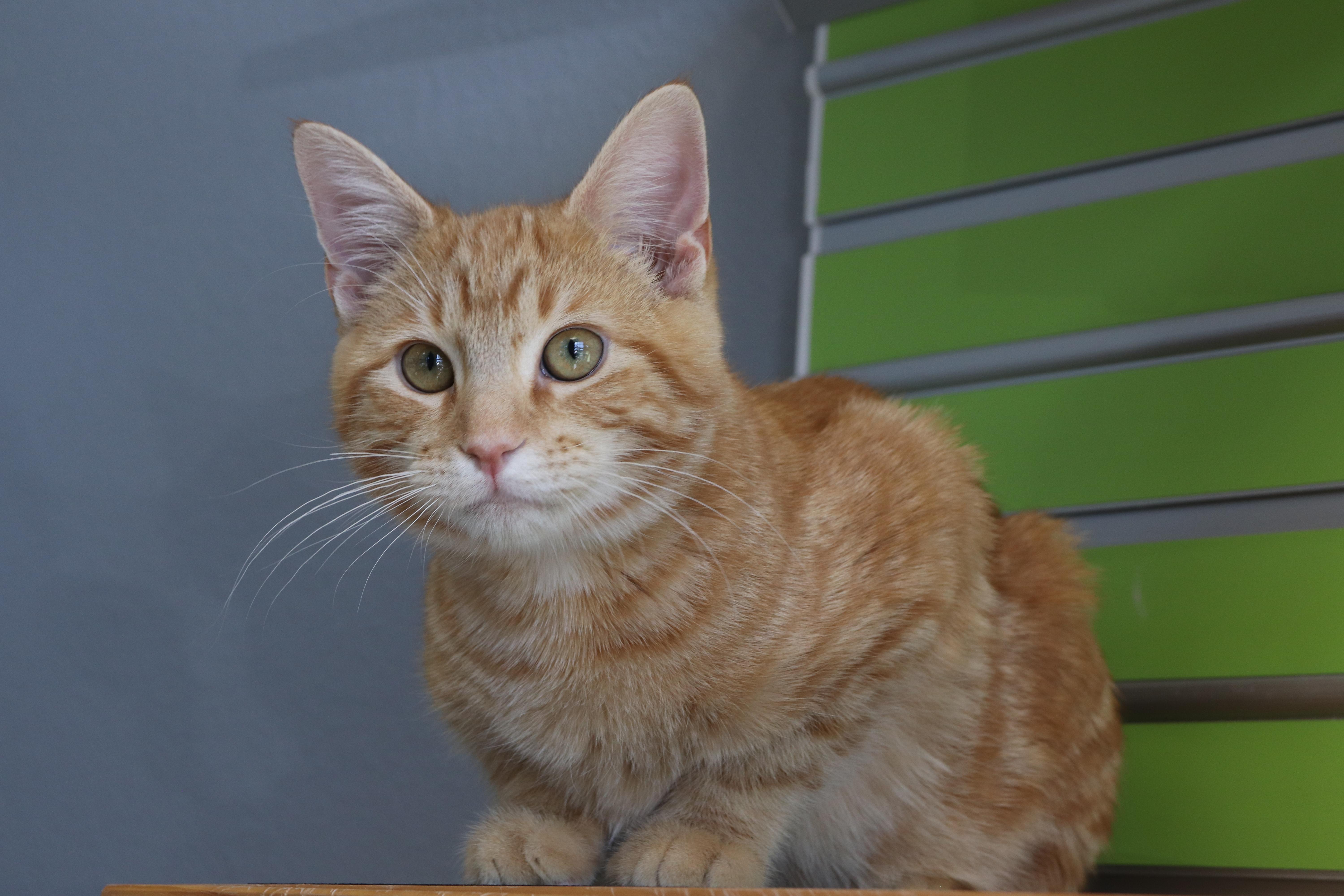 Aerosmith — thumbnail 2