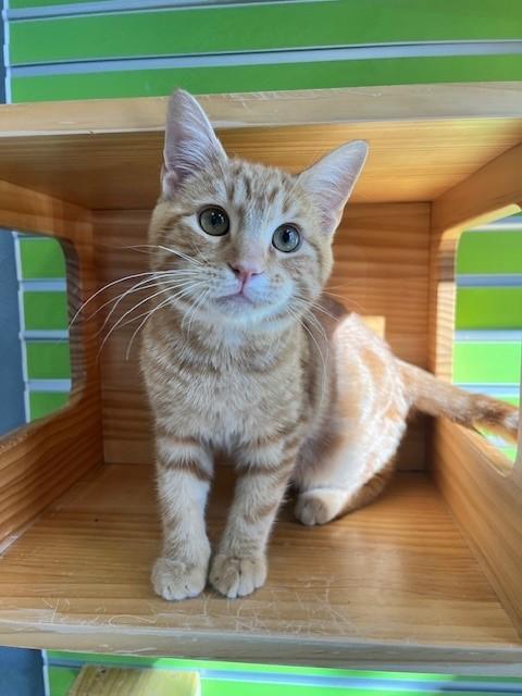 Aerosmith — thumbnail 3