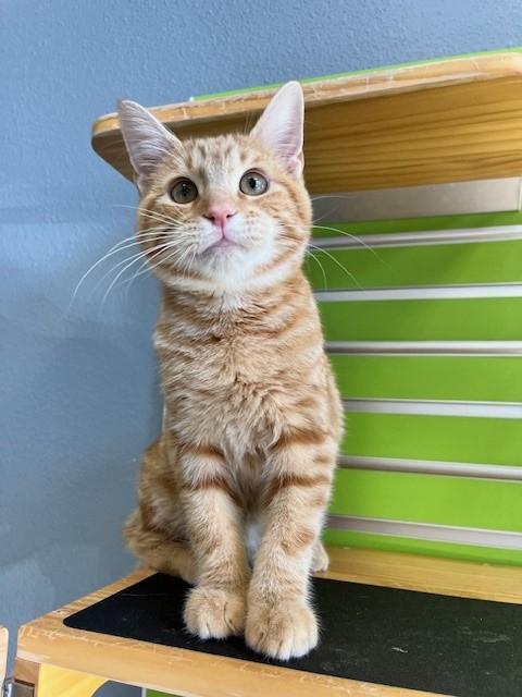 Aerosmith — thumbnail 4