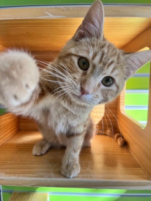 Aerosmith — thumbnail 5