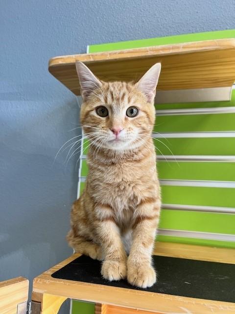 Aerosmith — thumbnail 6