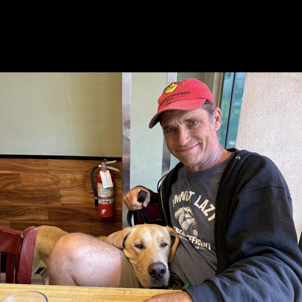 Max, a Adoptable Labrador Retriever in San Francisco, CA image 5/6