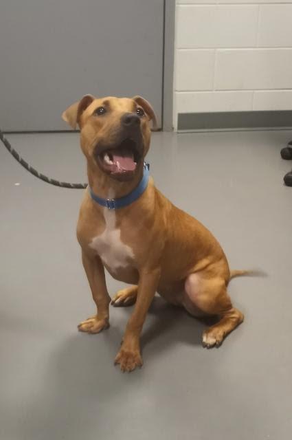 Ruby — thumbnail 2