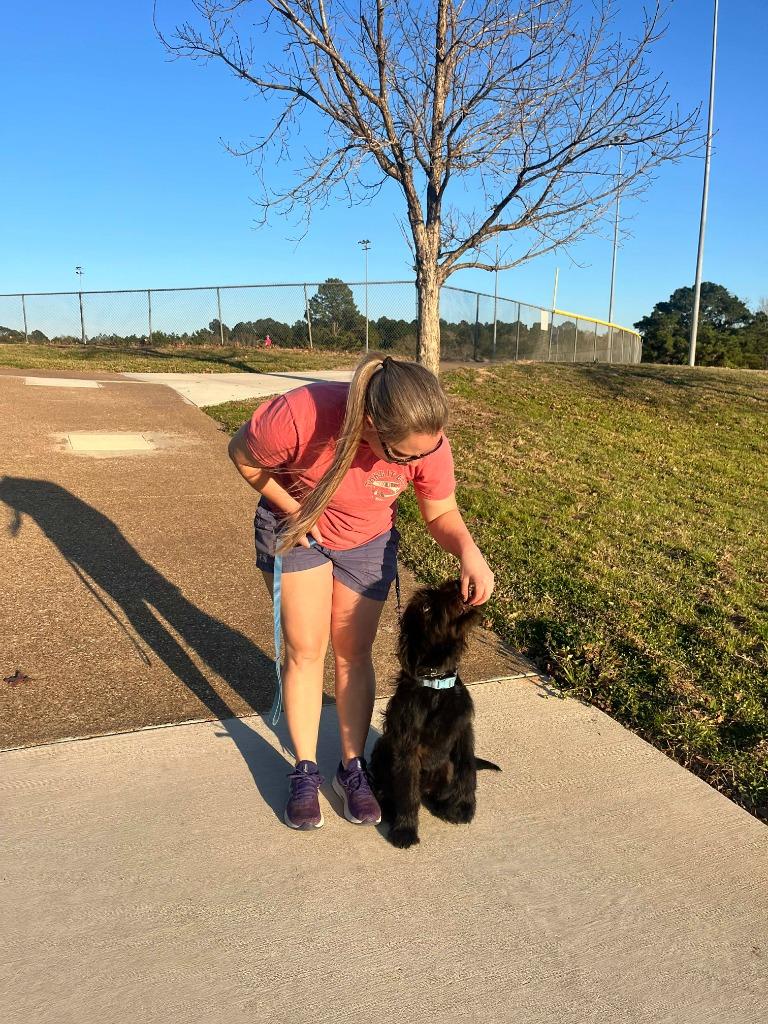 Rebel — thumbnail 2