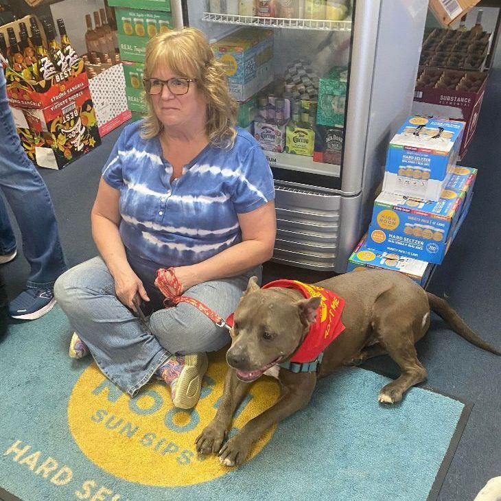 Enlarge Kaplan, a Adoptable mixed breed in Rochester, NY image 13/14