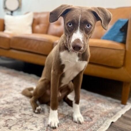 Mr Blue Sparkling Eyes, Tender heart