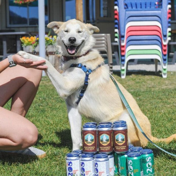 Enlarge May, an adopted mixed breed in Driggs, ID image 2/6