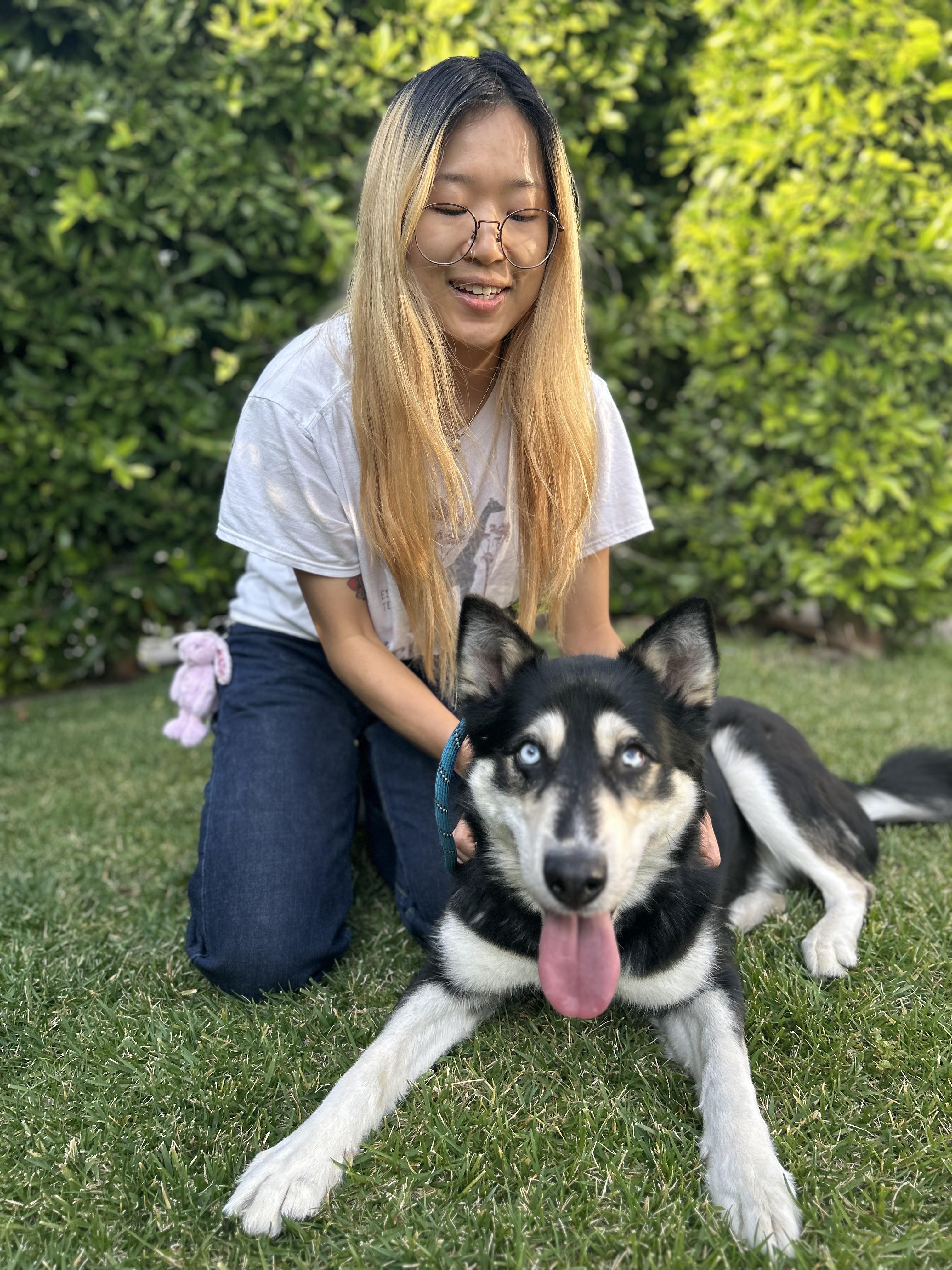 Enlarge Bleu, a ADOPTABLE mixed breed in Burbank, CA image 2/6