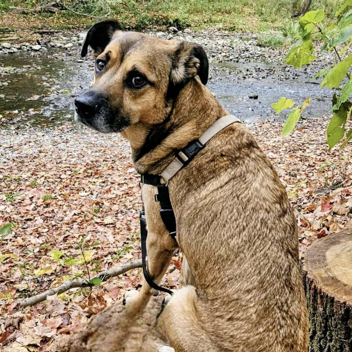 Junior Mint (20250624-02) — thumbnail 2