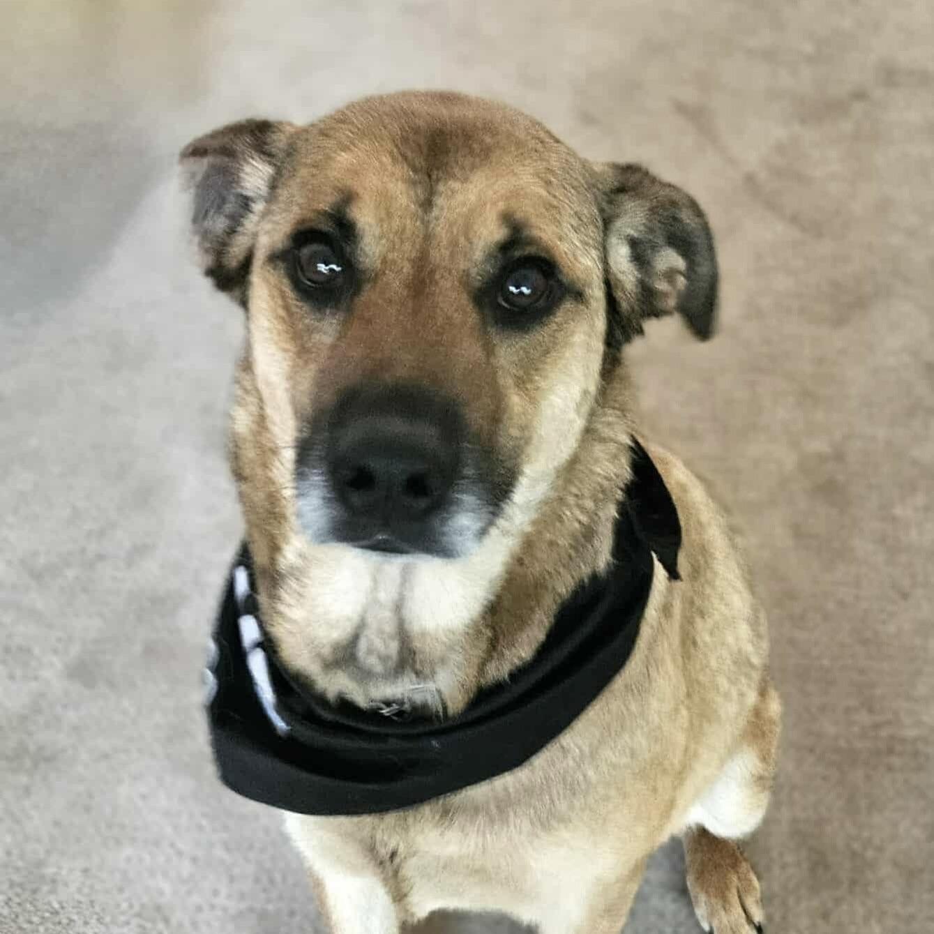 Junior Mint (20250624-02) — thumbnail 3