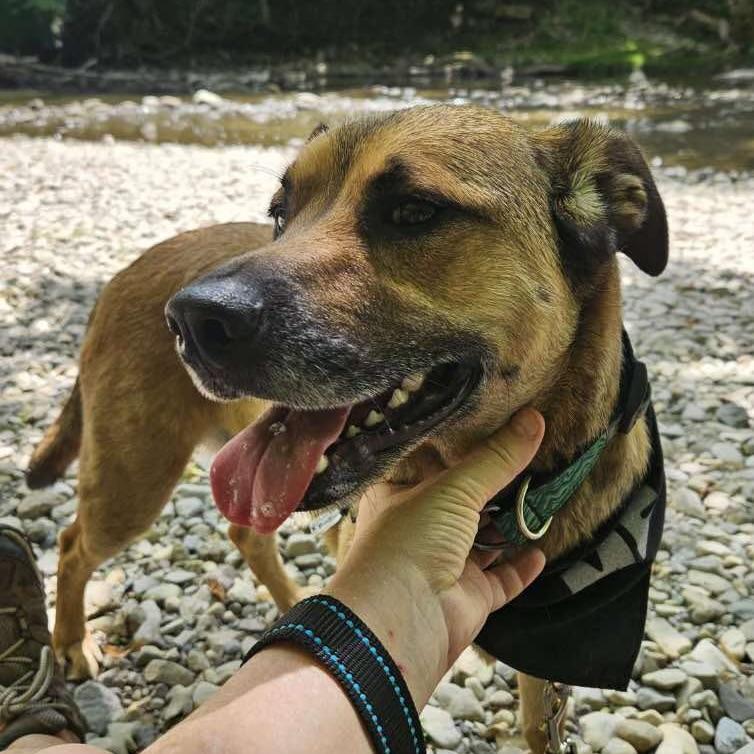 Junior Mint (20250624-02)