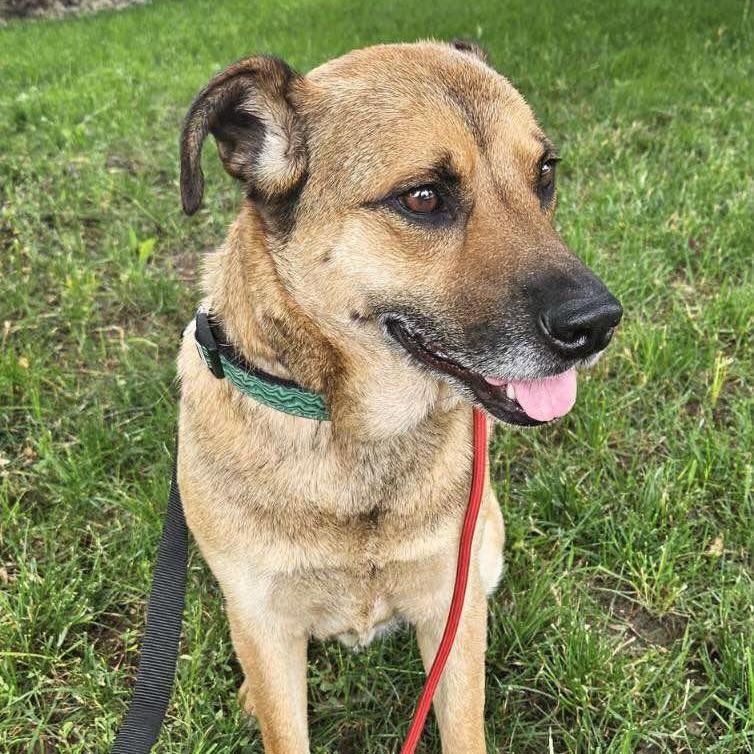 Junior Mint (20250624-02)