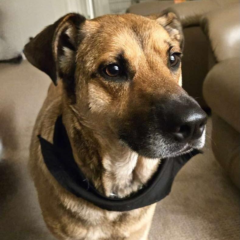 Junior Mint (20250624-02) — thumbnail 5