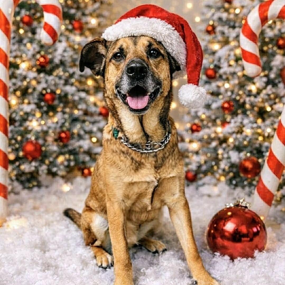 Junior Mint (20250624-02) — thumbnail 6