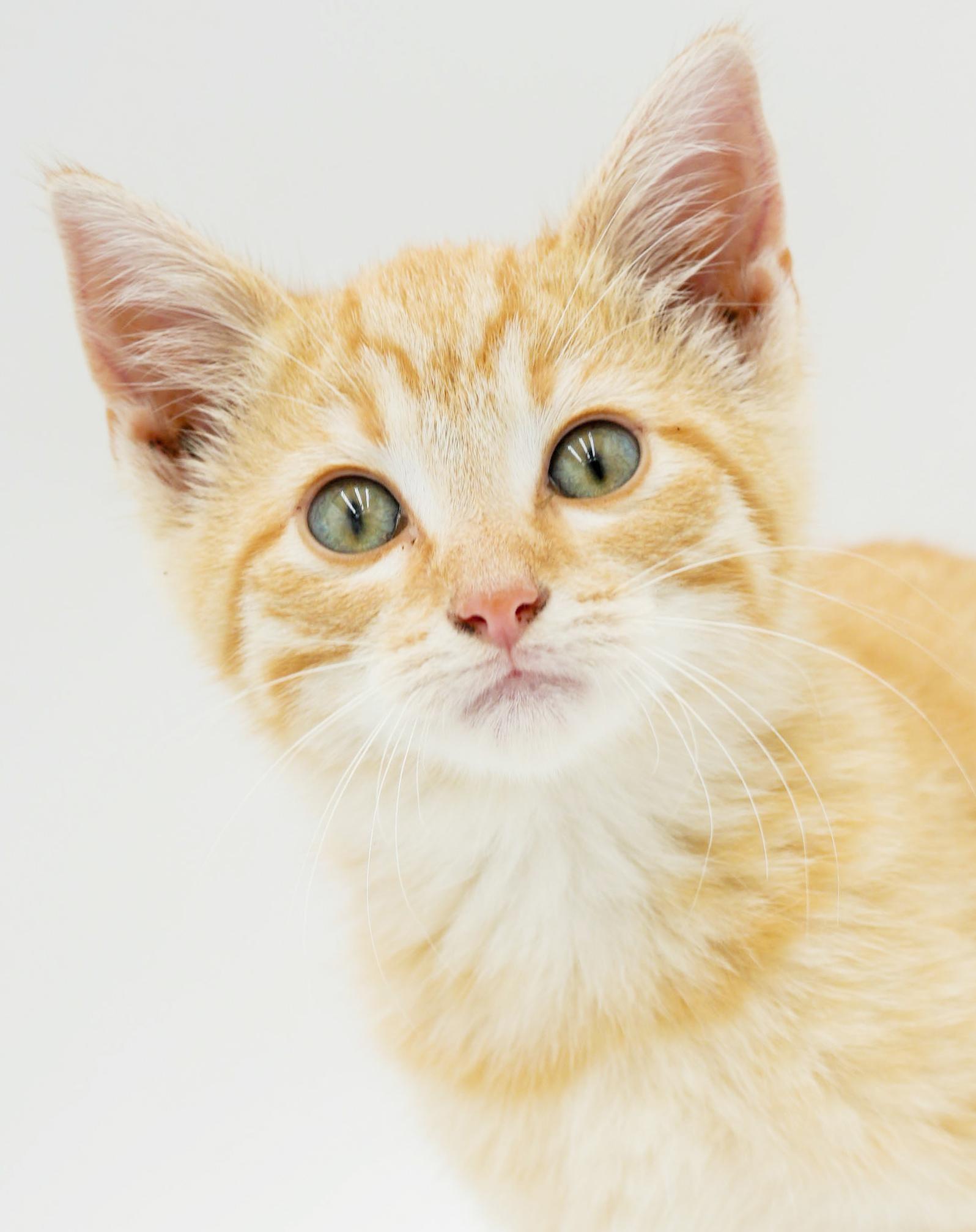 Cider Will Warm Your