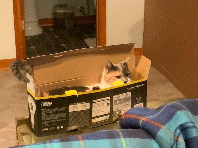 Jennie — thumbnail 3