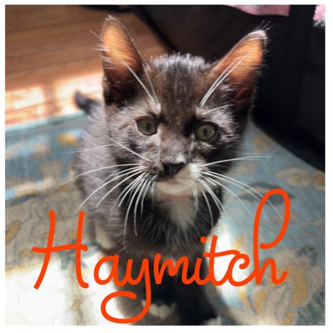Haymitch, Baby Male unknown