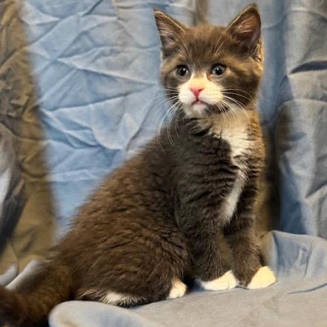 Hayzel — thumbnail 6