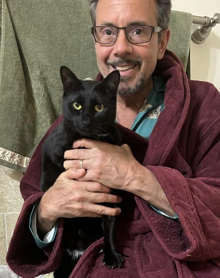 Enlarge Beemer and Liza, a Adoptable Domestic Short Hair in Closter, NJ image 3/4