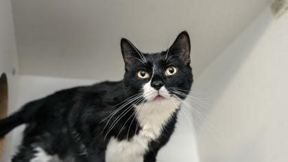 Keys — thumbnail 2