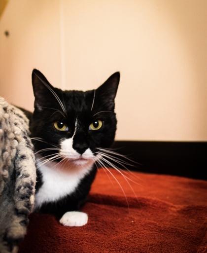 Keys — thumbnail 3