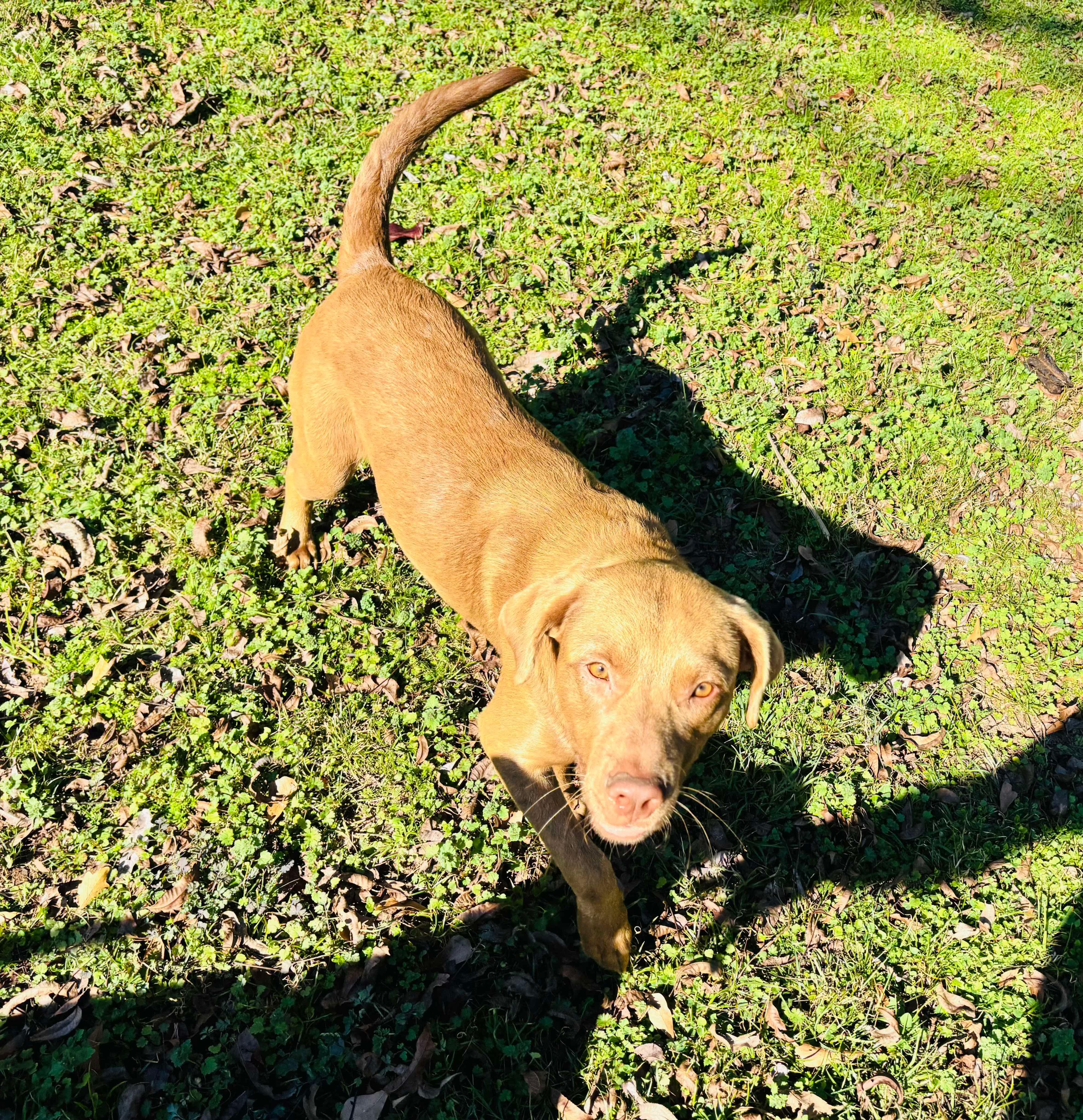 Max photo 2