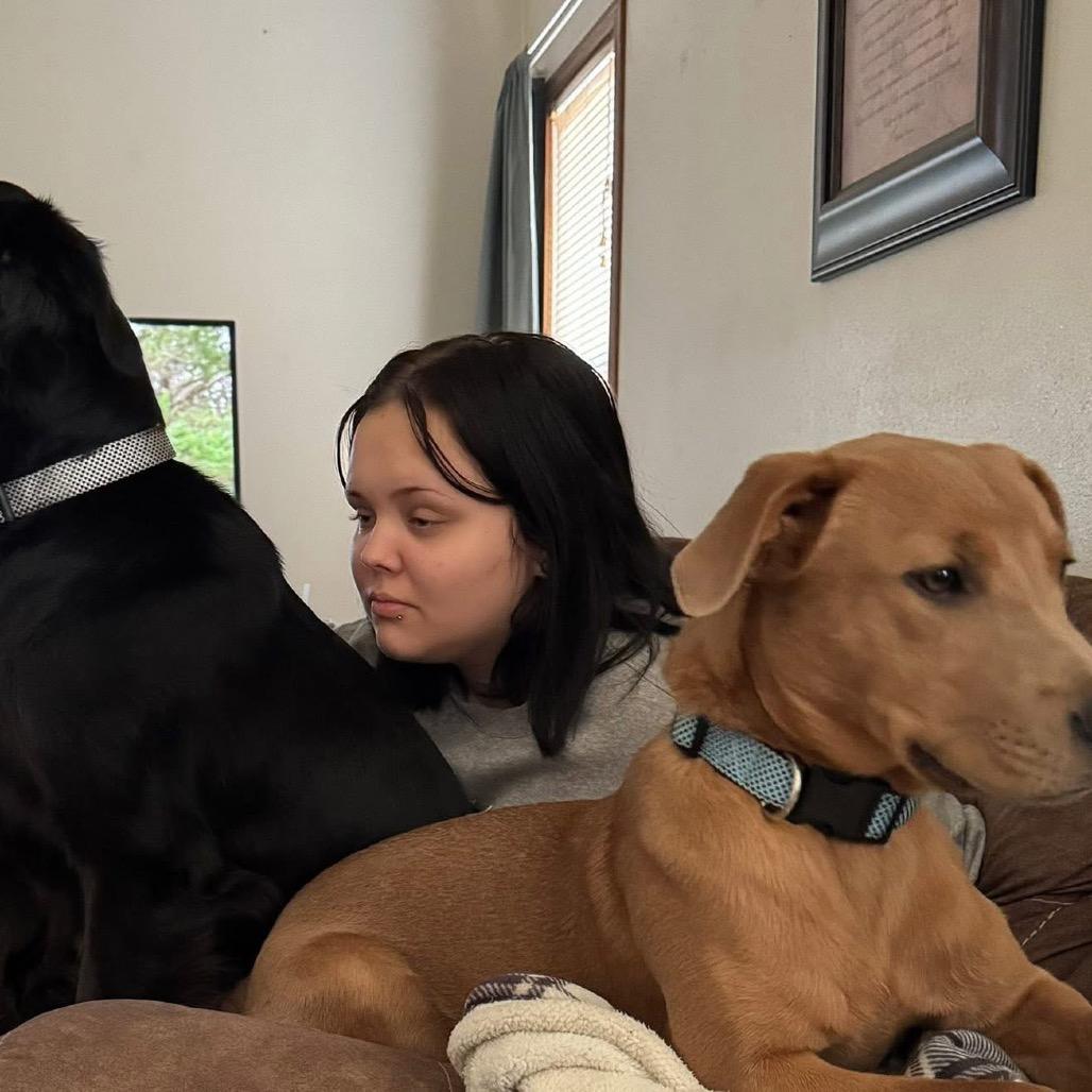 Joker, a Adoptable mixed breed in Tomah, WI image 3/3