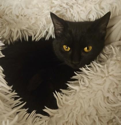 Aunt Zelda — thumbnail 2