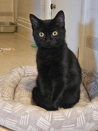 Aunt Zelda — thumbnail 3