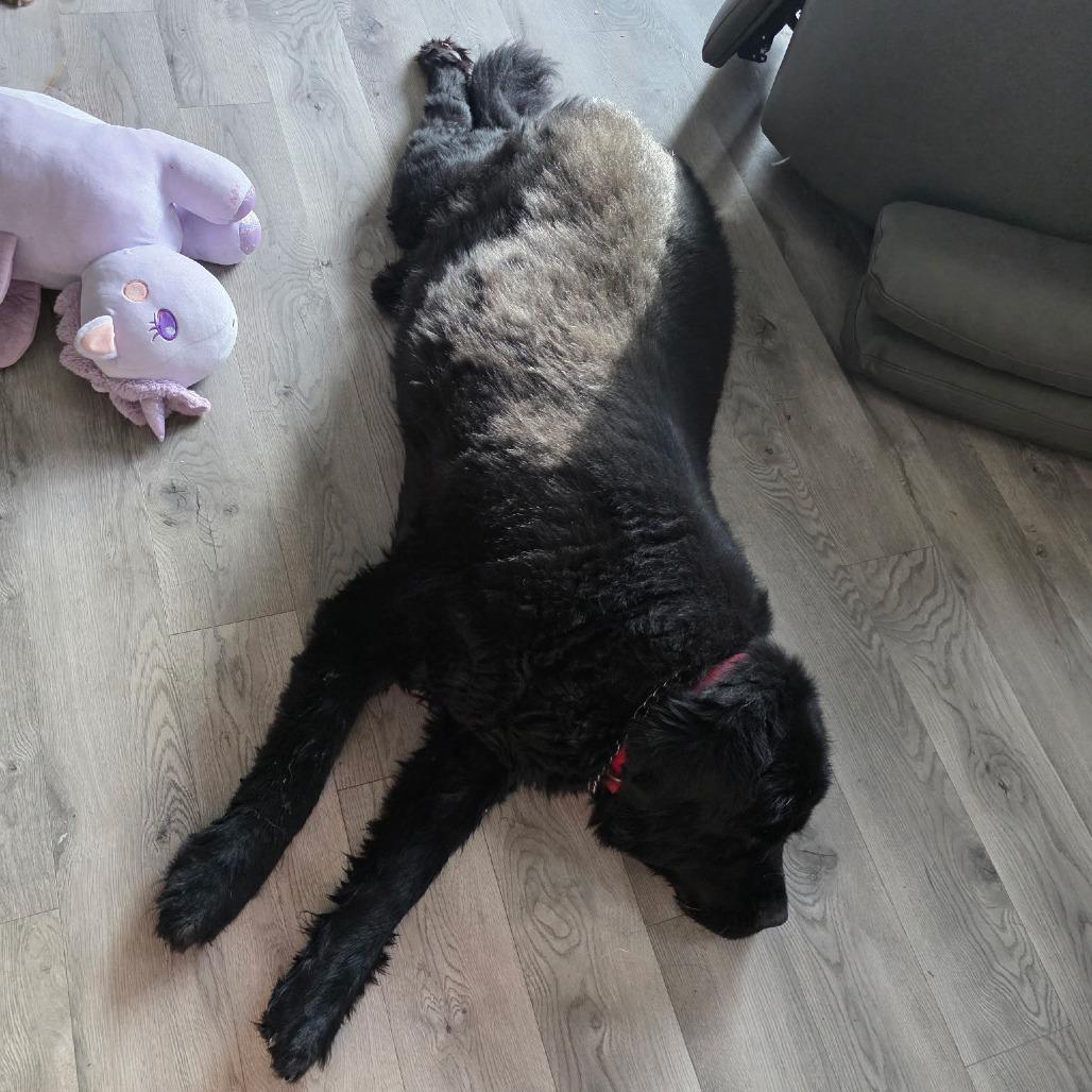 Hercules thumbnail 2