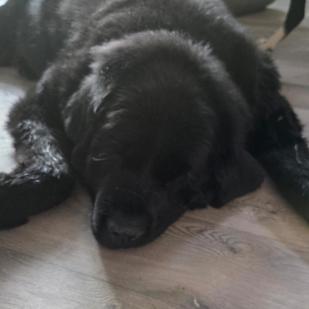 Hercules thumbnail 5