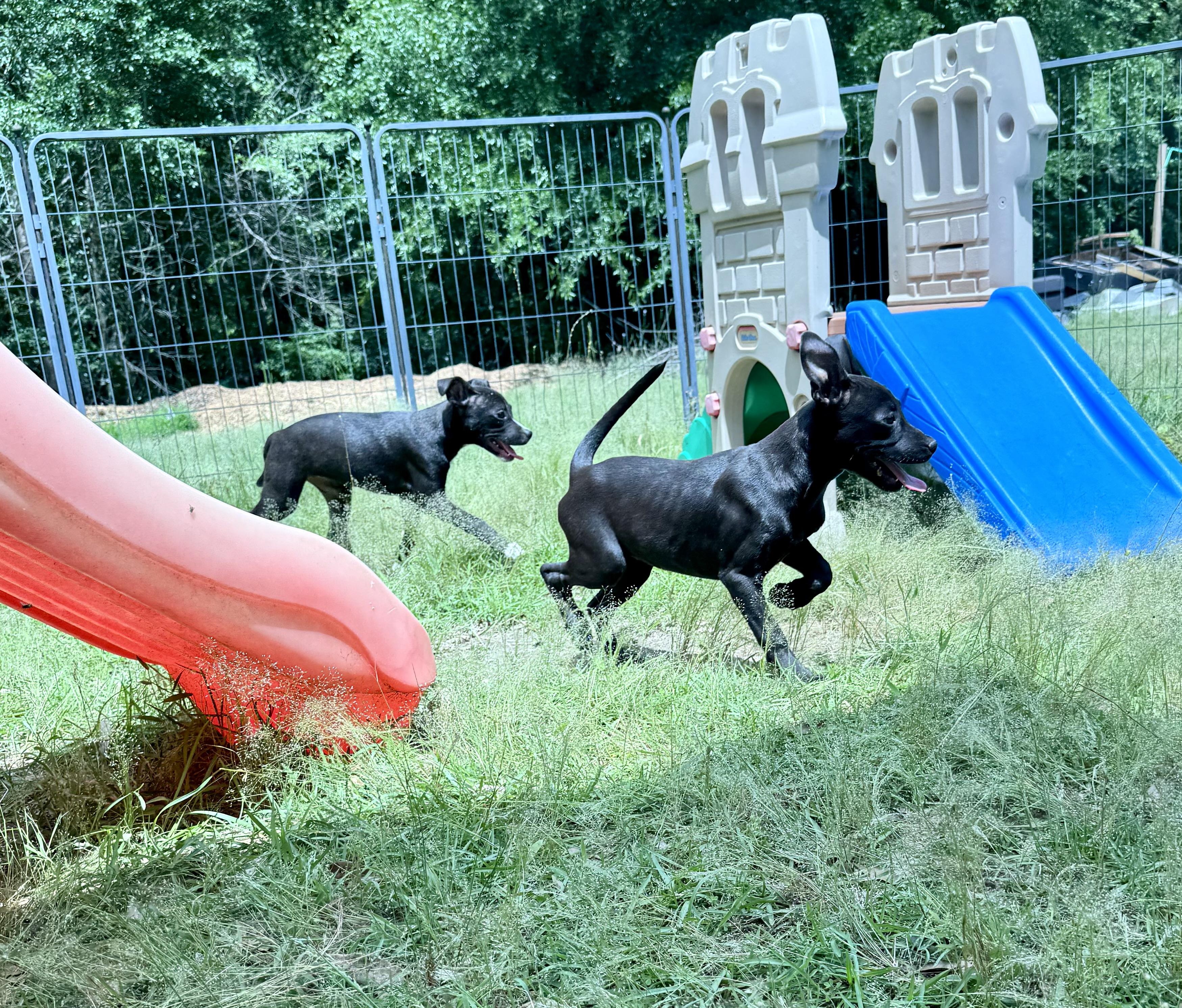 ESPRESSO — thumbnail 2