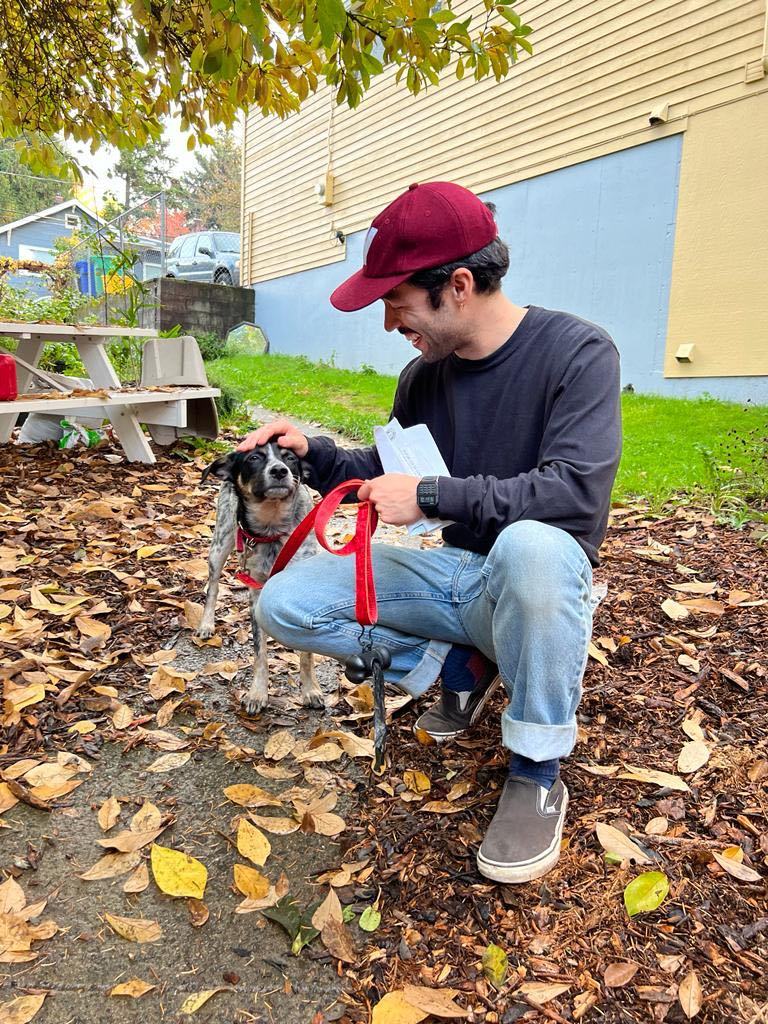 Enlarge Zeus, a Adopted mixed breed in West Linn, OR image 4/6