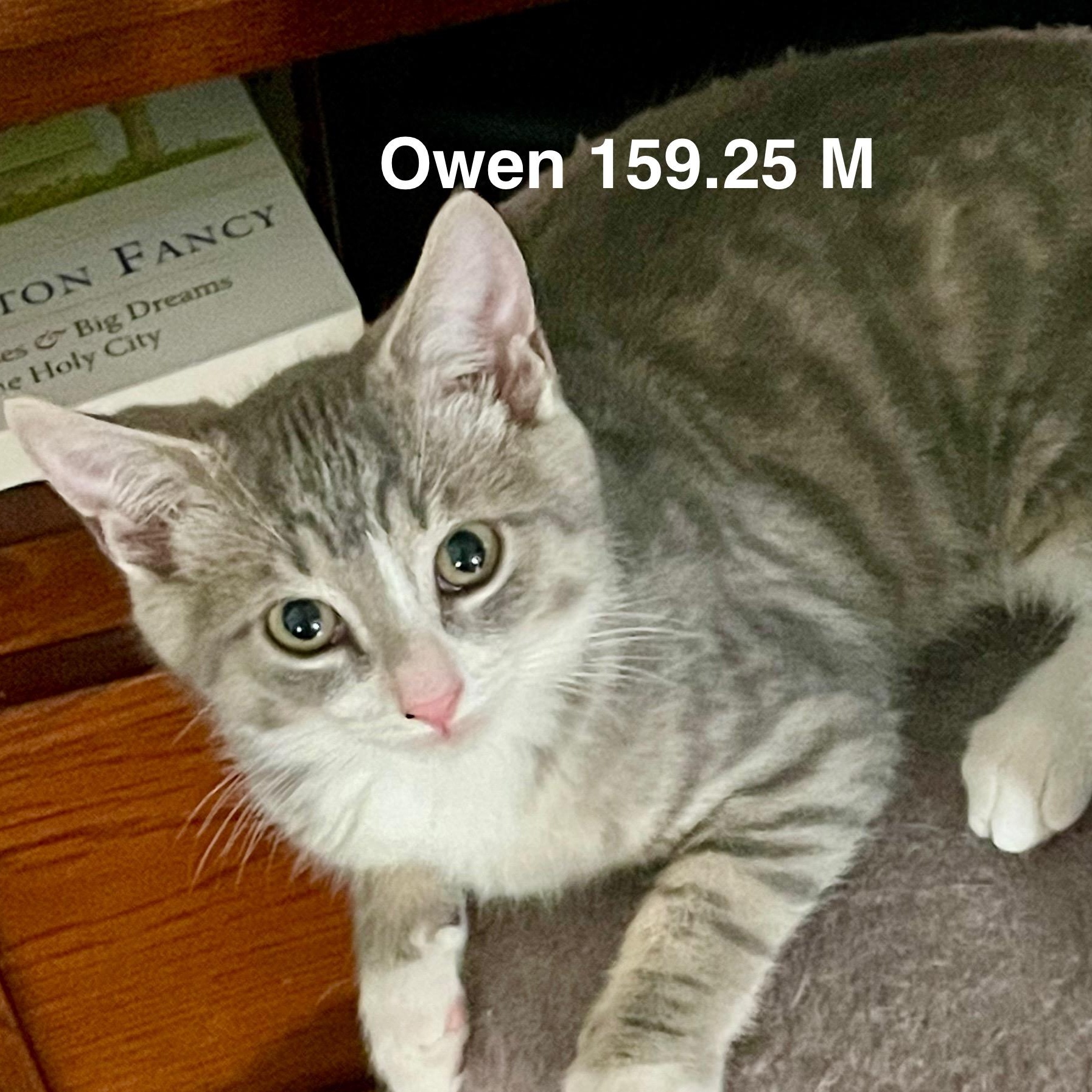 Foster Owen