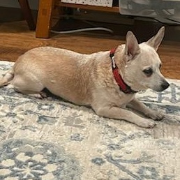 Frannie — thumbnail 3