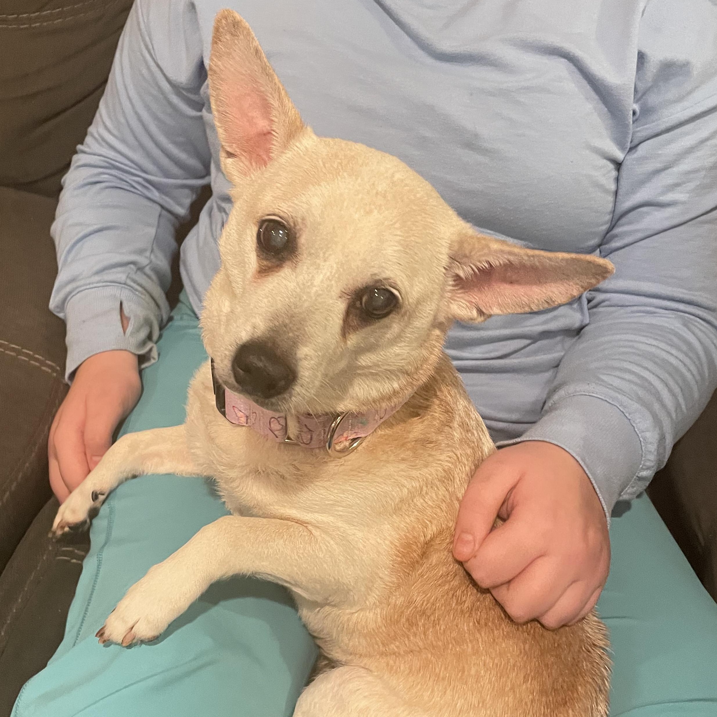 Frannie — thumbnail 6