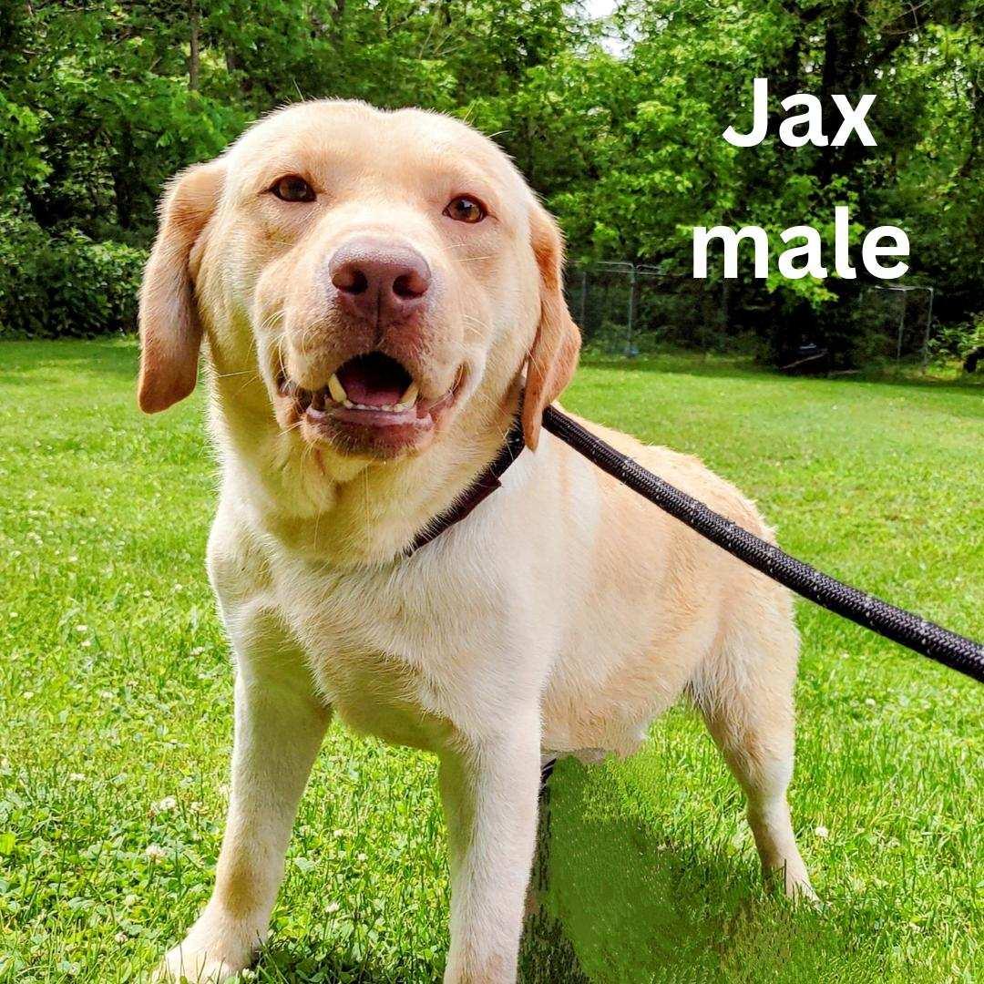 Jax