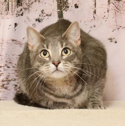 Baby — thumbnail 2