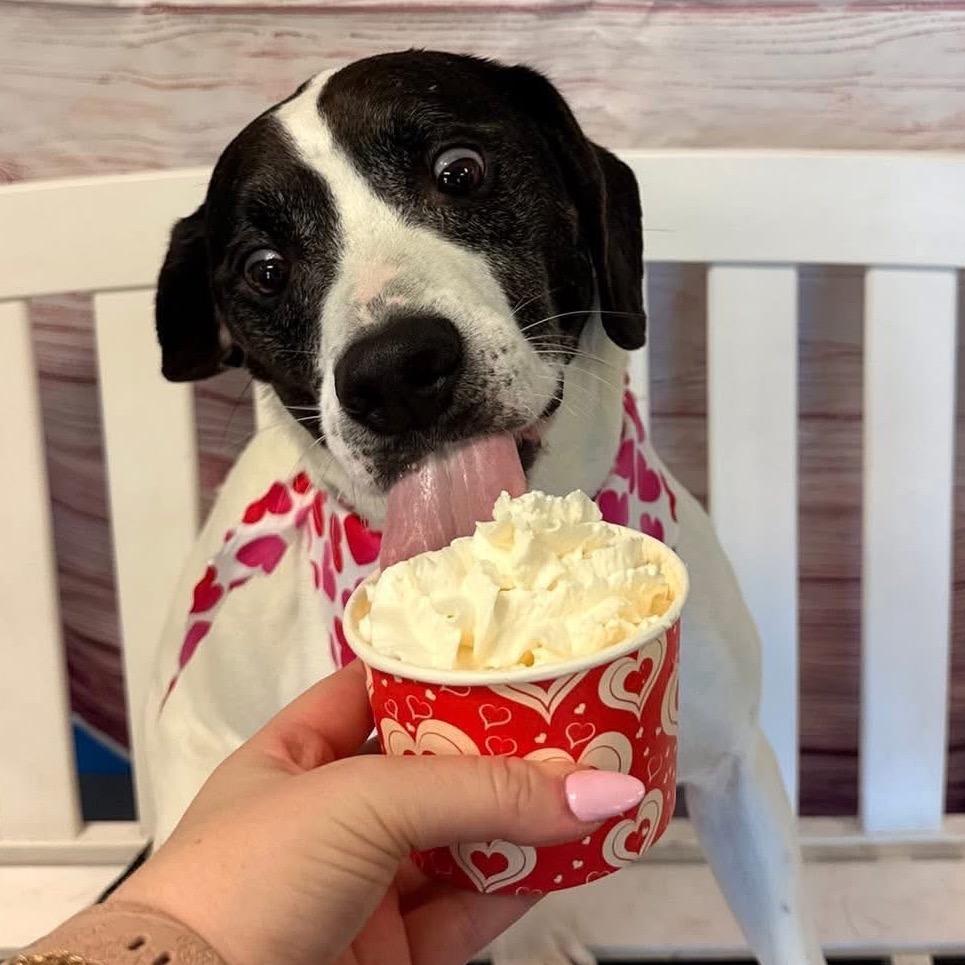 Brisket Billy — thumbnail 4