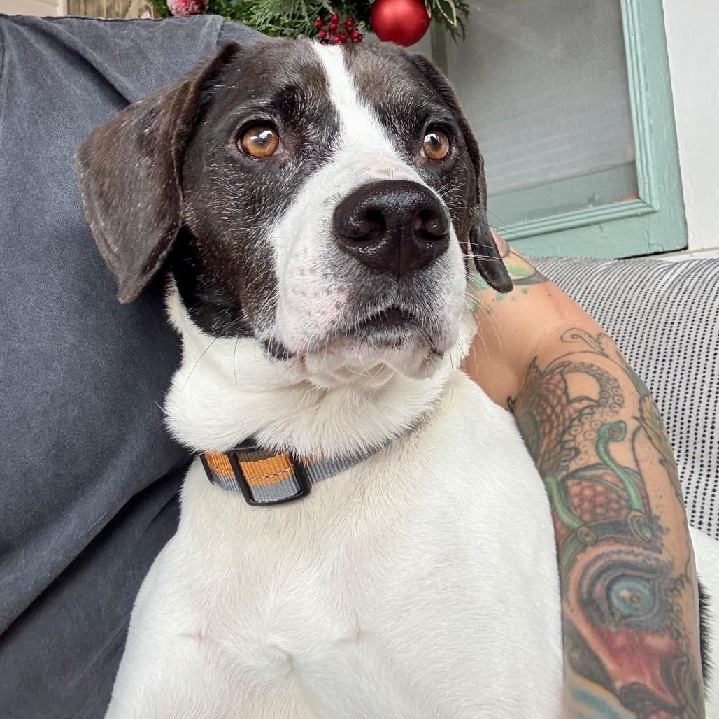 Brisket Billy — thumbnail 6