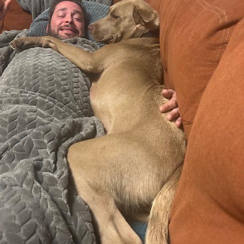 Enlarge Amidala, a Adoptable mixed breed in Crystal, MN image 4/6