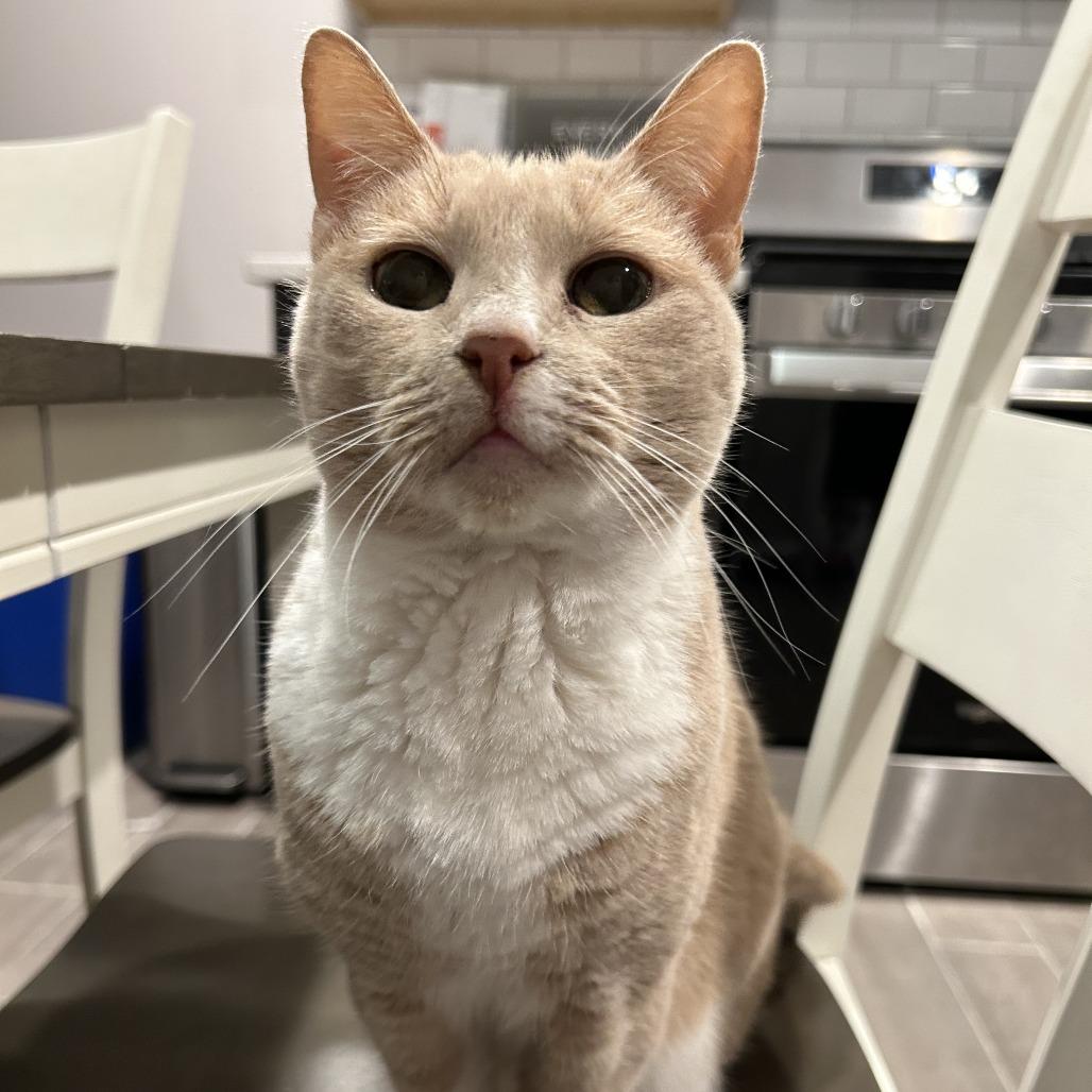 Penny — thumbnail 2