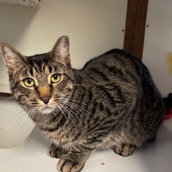 Yellowstone & Bryce – A Bonded Pair Ready for a Fresh Start