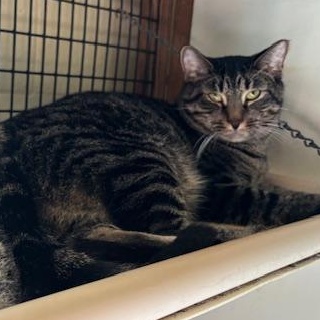 Yellowstone & Bryce – A Bonded Pair Ready for a Fresh Start